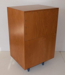 VOTT 828 Goldteak 06